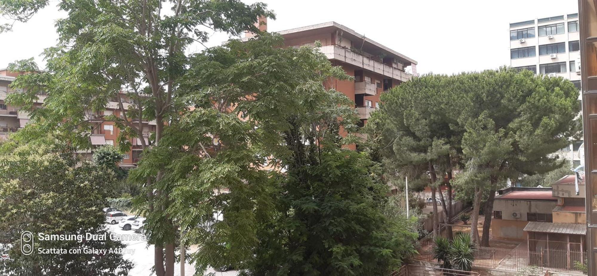 Frael Apartamento Palermo
